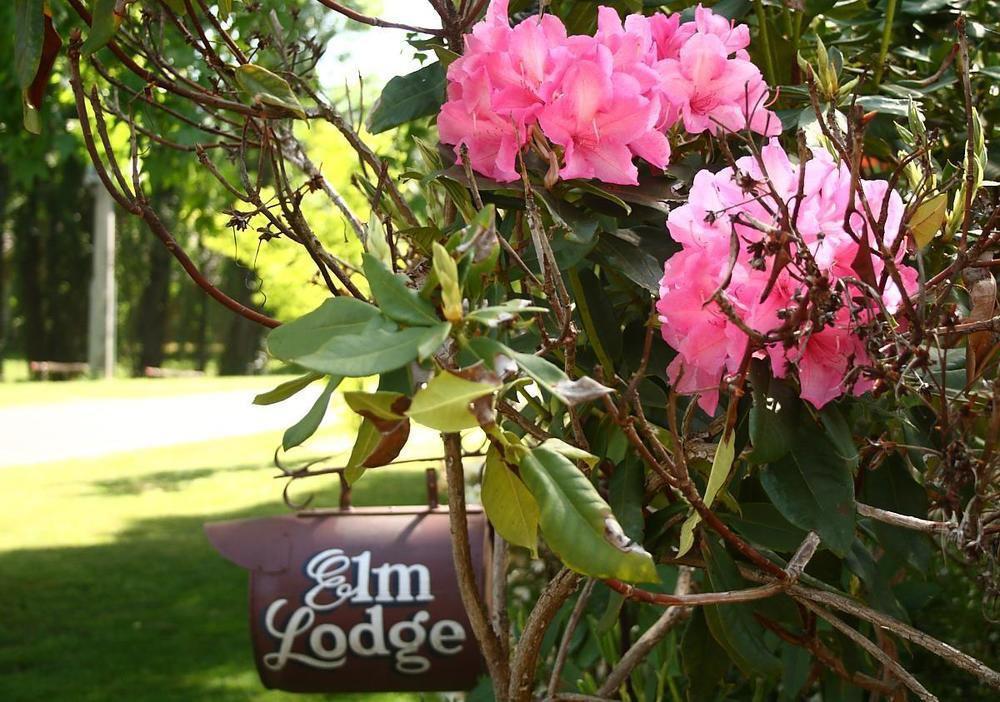 Elm Lodge Bright Luaran gambar