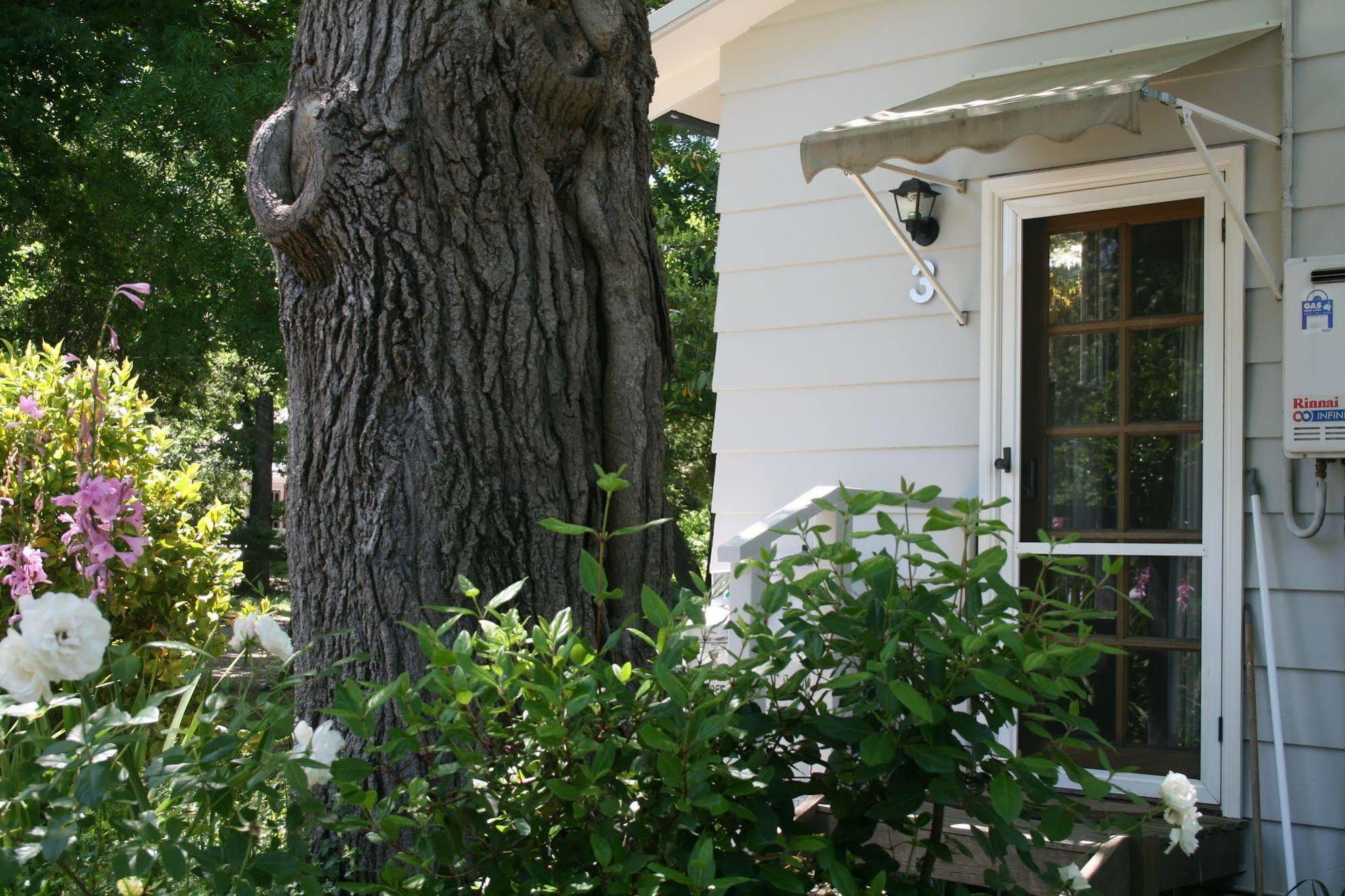 Elm Lodge Bright Luaran gambar